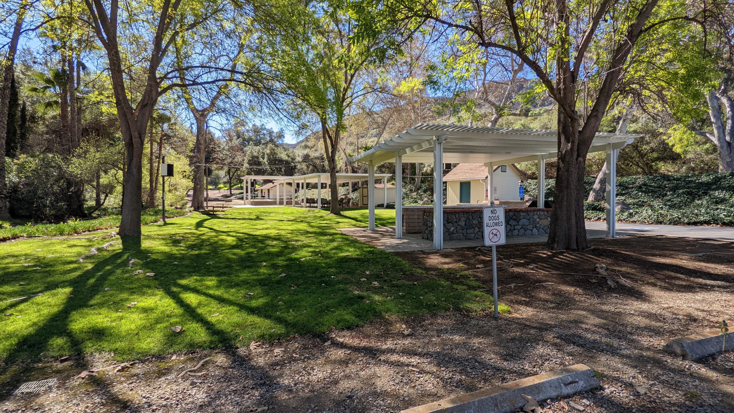 CV476 Dog Park