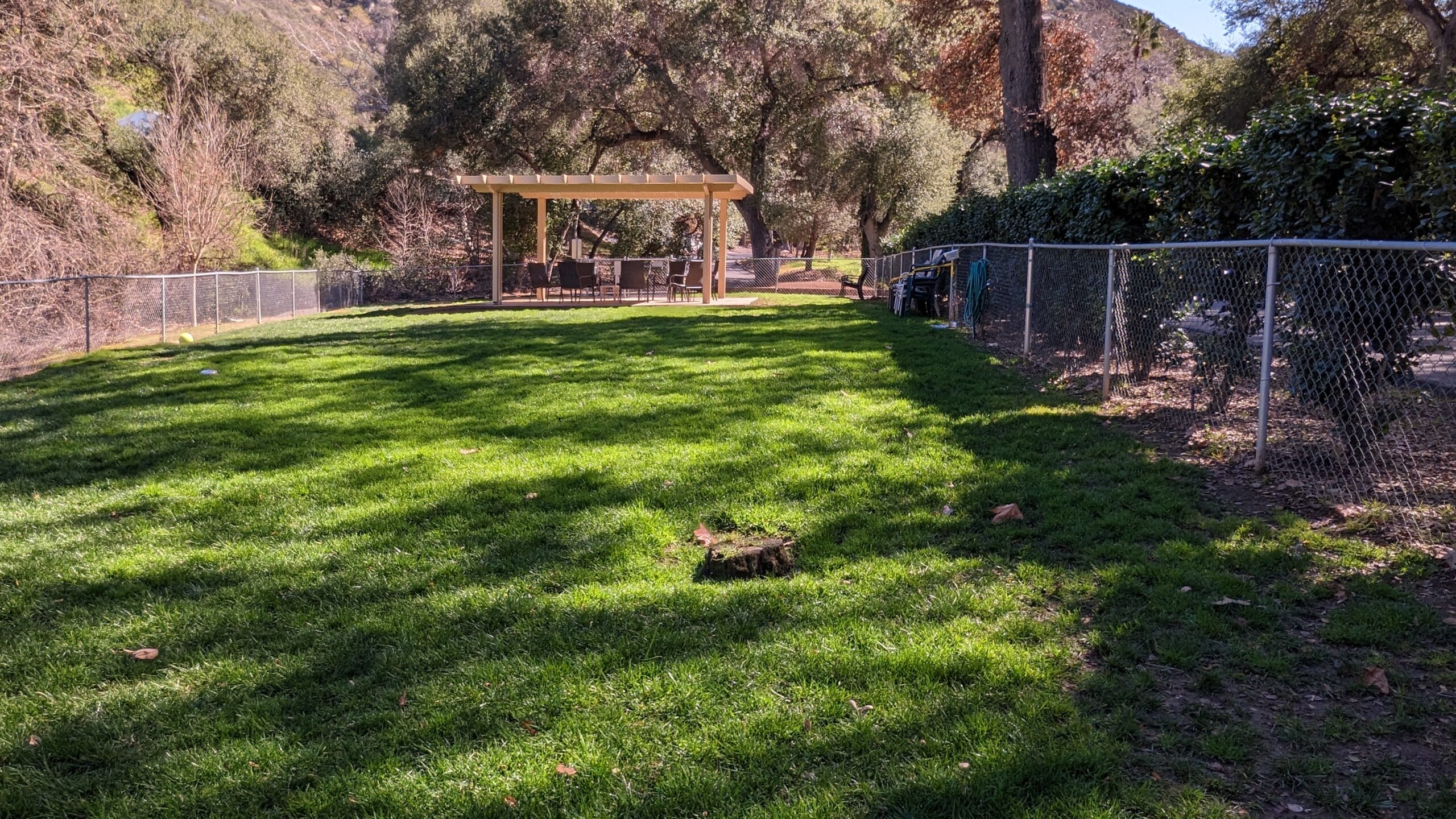 Dog Park 1 Dog Park