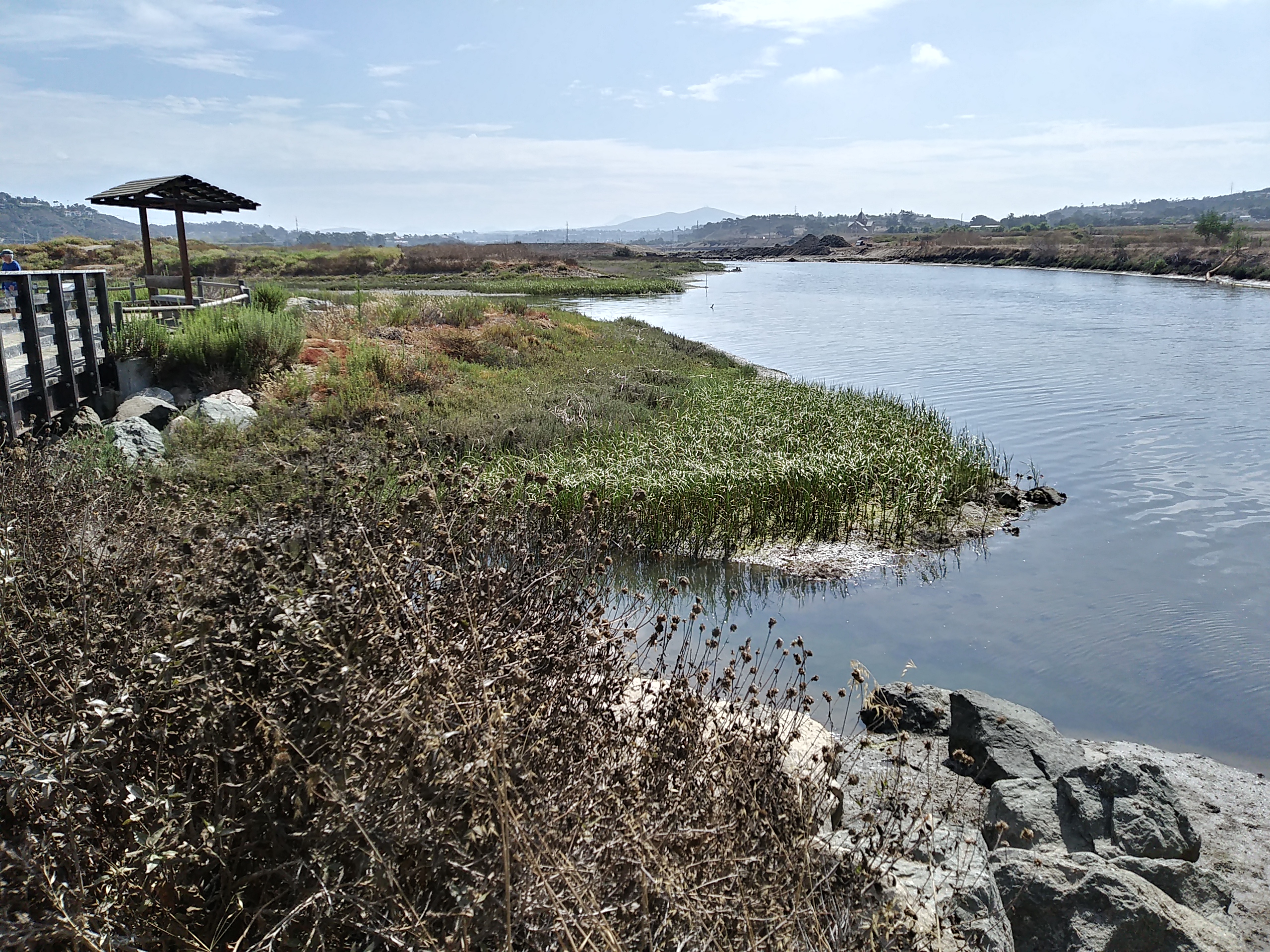 San Dieguito Lagoon walk